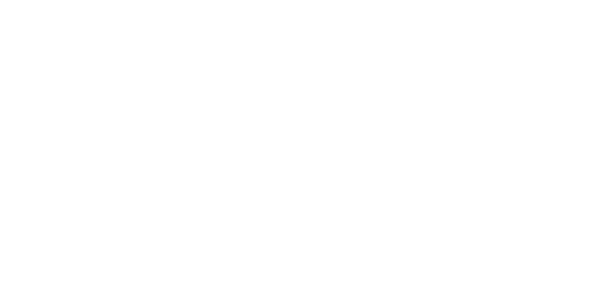 NienburgerLand Logo